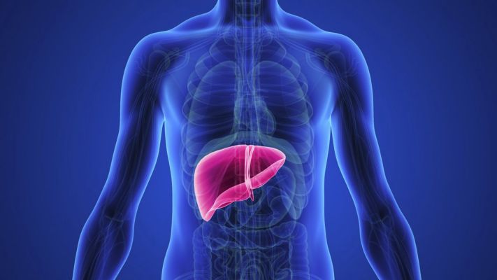 10 alimentos maravillosos para limpiar tu hígado y desintoxicar tu cuerpo